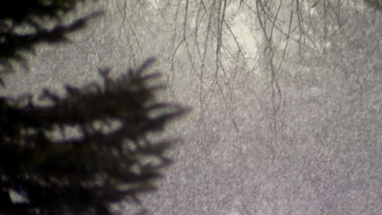 Scientist says high dust levels have negative effects on snowpack