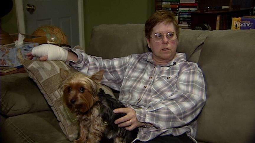 Owner says pit bulls are ‘mellow dogs'