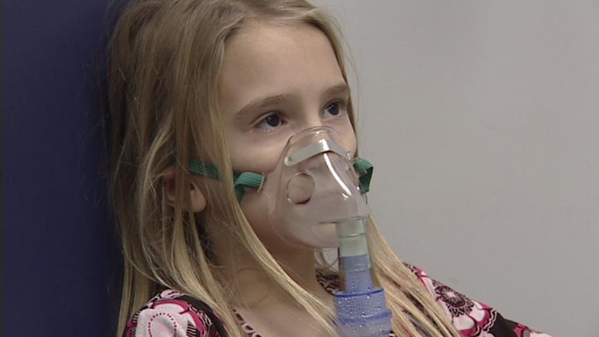 Organizations band together for cleaner air
