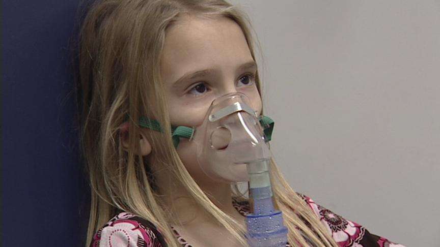 Organizations band together for cleaner air