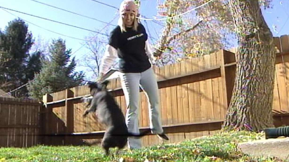 National groups showing support for Henry's Law