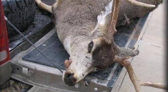 Wildlife officers need your help tracking down poachers