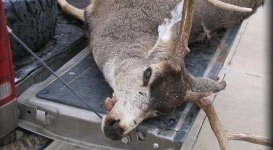 Wildlife officers need your help tracking down poachers