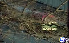 Man arrested near U.S. Capitol may have Utah connection