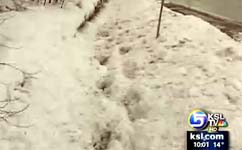 Cottonwood Heights may re-think snow removal law