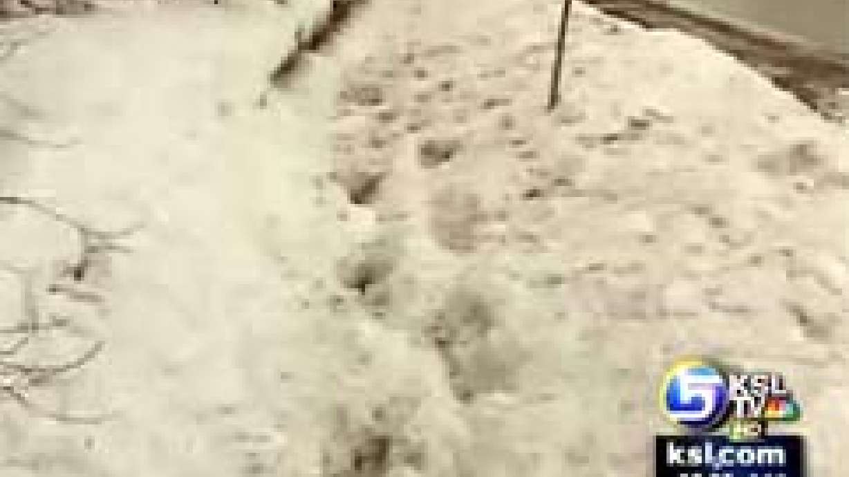 Cottonwood Heights may re-think snow removal law