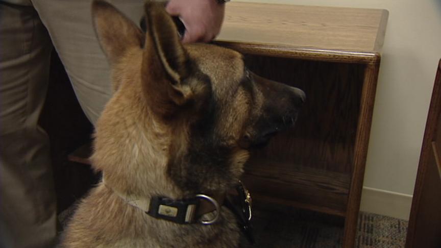 UHP K-9 helps to keep Capitol building safe