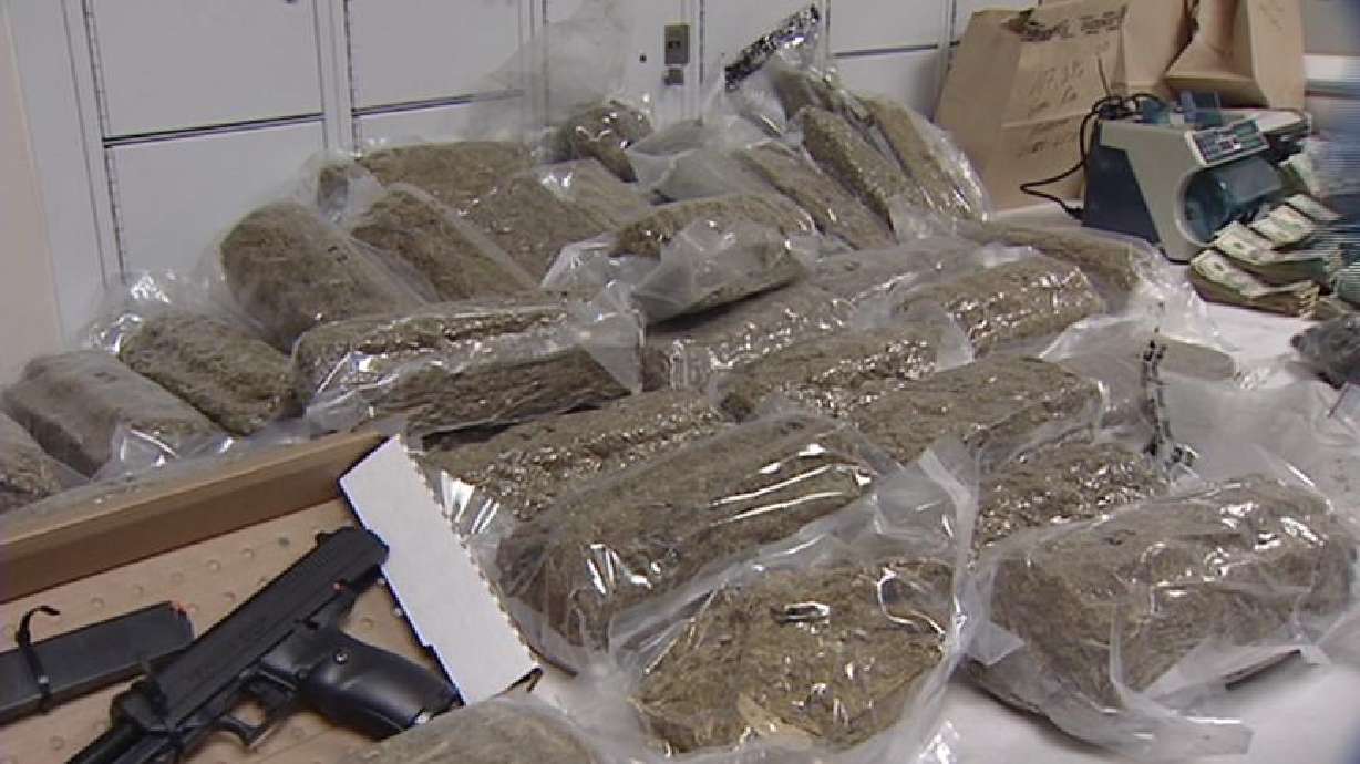 Sherriff's office makes multiple drug busts