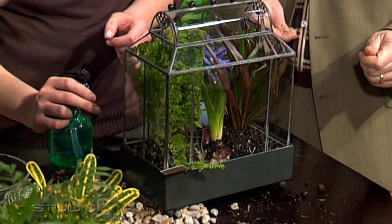 Indoor gardens bring outdoors inside
