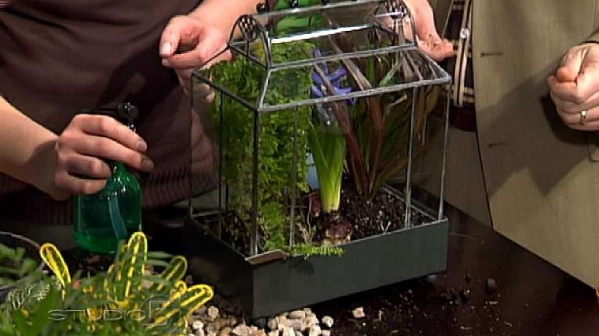 Indoor gardens bring outdoors inside