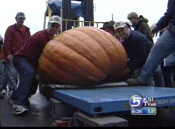 Giant Pumpkins Weigh In