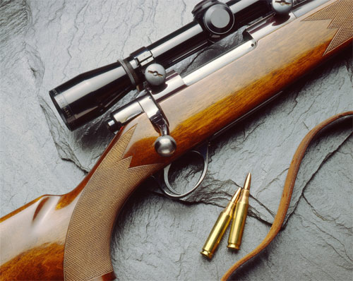 Davis County rolls back gun ban