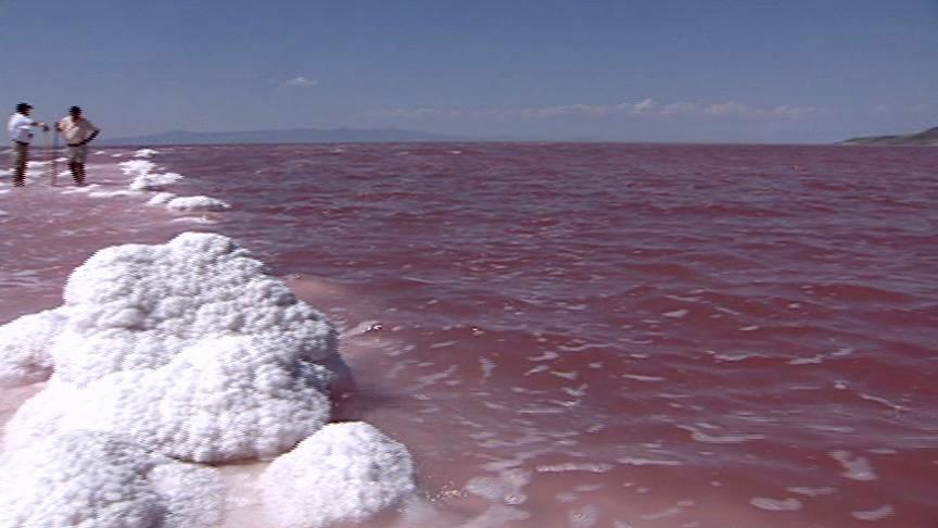 Proposal to drill for oil in the Great Salt Lake drawing protest