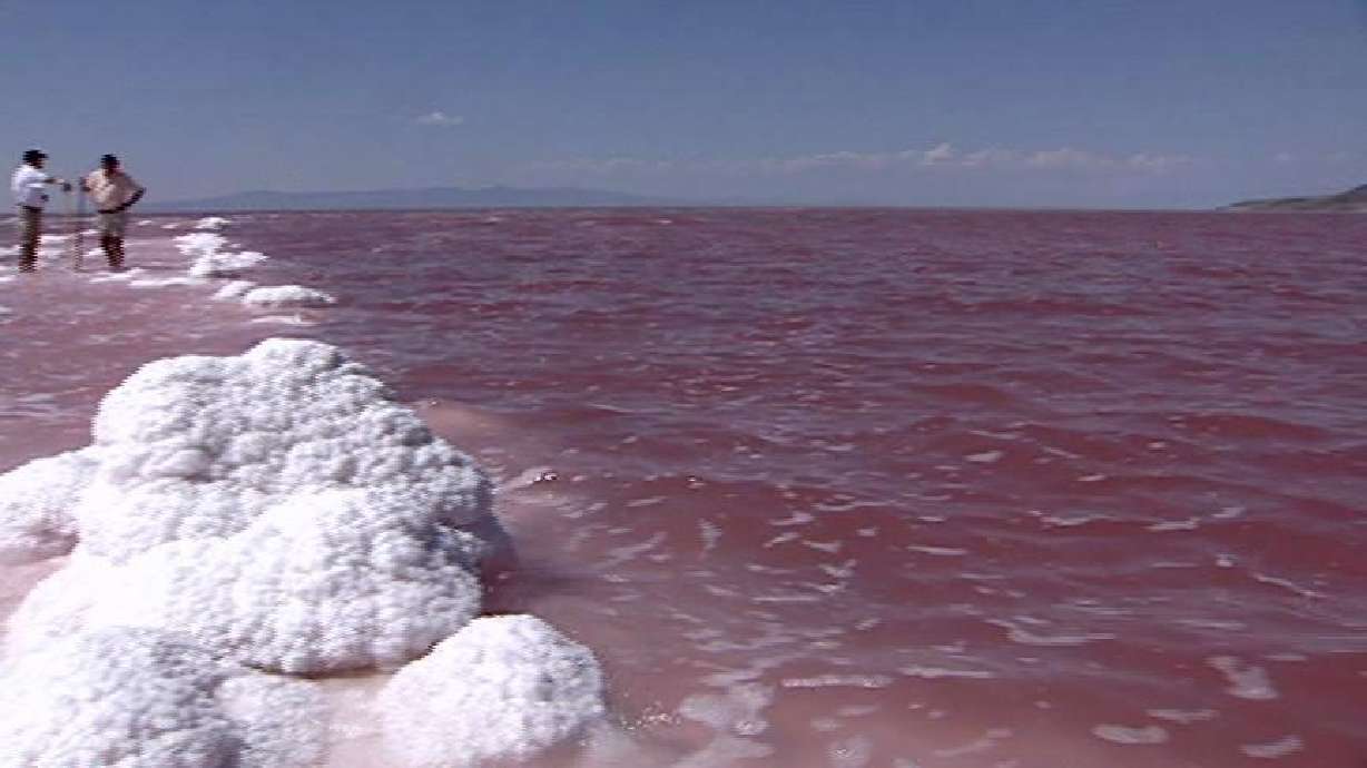 Proposal to drill for oil in the Great Salt Lake drawing protest