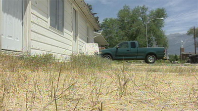 Big jury pool called in lousy-lawn trial