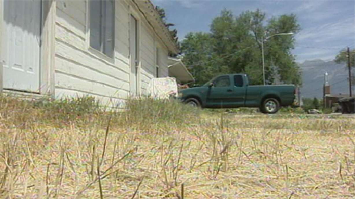 Big jury pool called in lousy-lawn trial