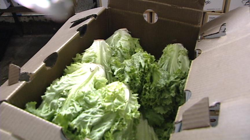 Is Out of State Lettuce Recall Affecting Perceptions in Utah?