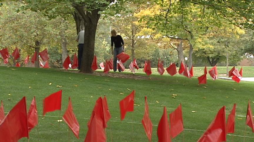 Flags a Visual Representation of Victims of Sexual Assault