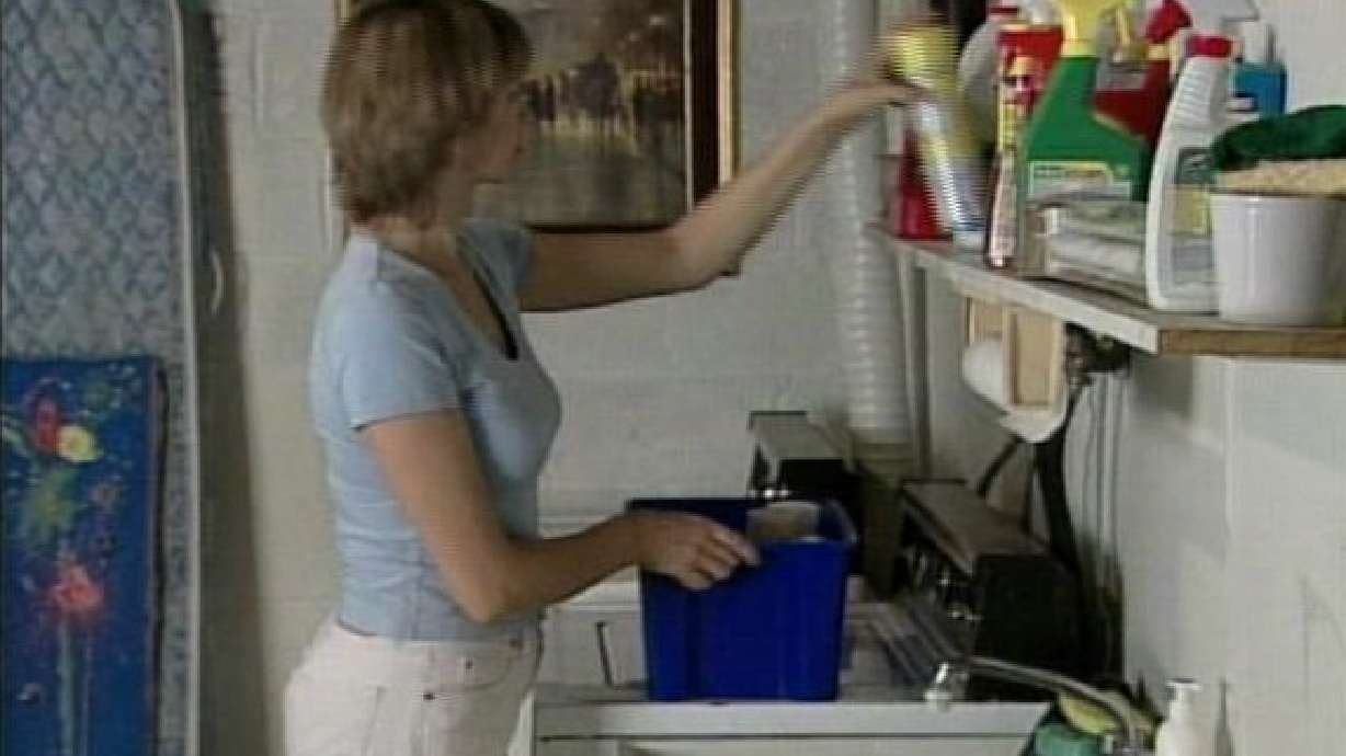 Perfection Not Required for Good Housecleaning