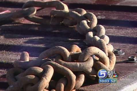 Prank Involving Dead Sheep Gets Teens in Trouble