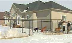 Another family's dog shot to death