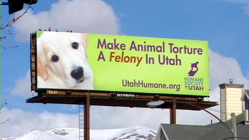 Two dogs killed; the push for tougher animal cruelty laws
