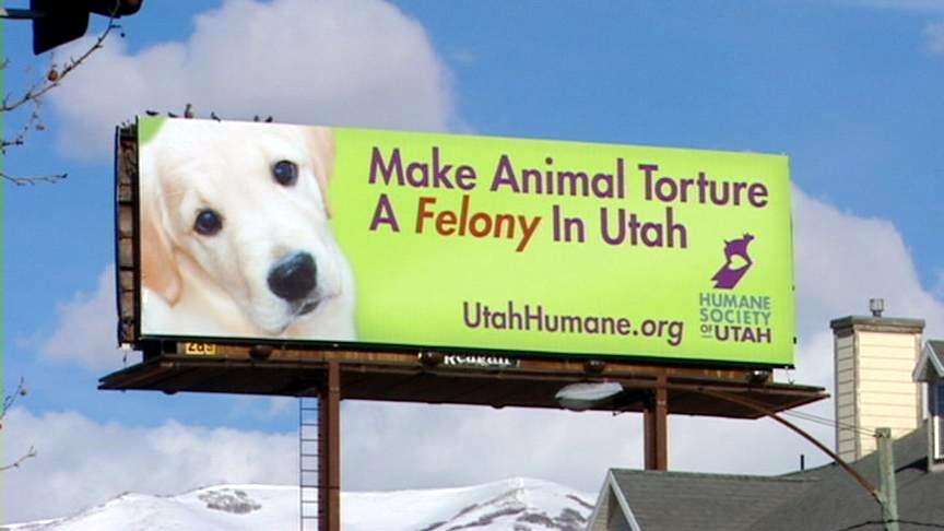 Two dogs killed; the push for tougher animal cruelty laws