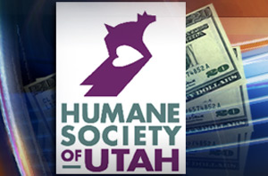 Humane Society offers rewards in animal shootings