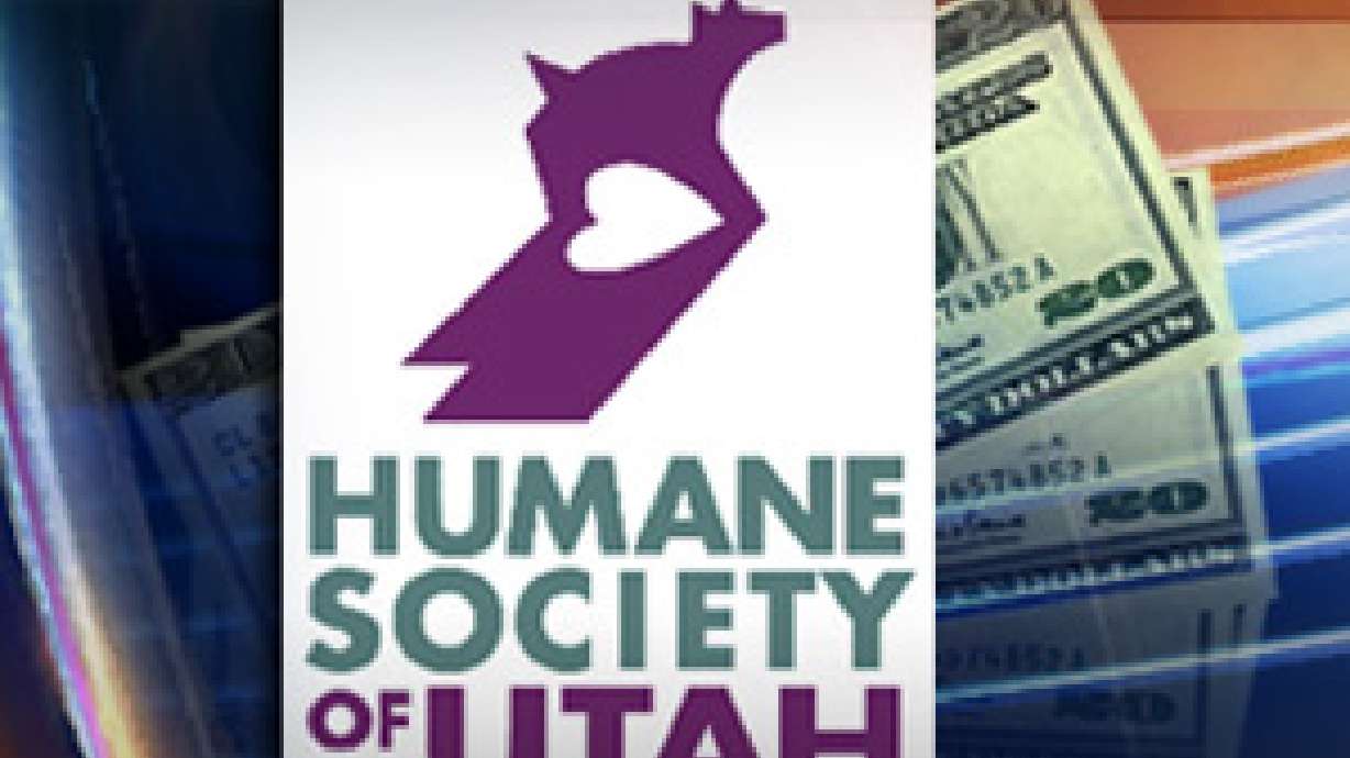 Humane Society offers rewards in animal shootings