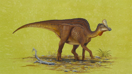 Scientists announce discovery of new dinosaur