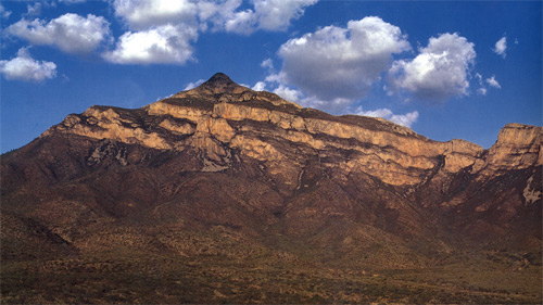 Scientists announce discovery of new dinosaur