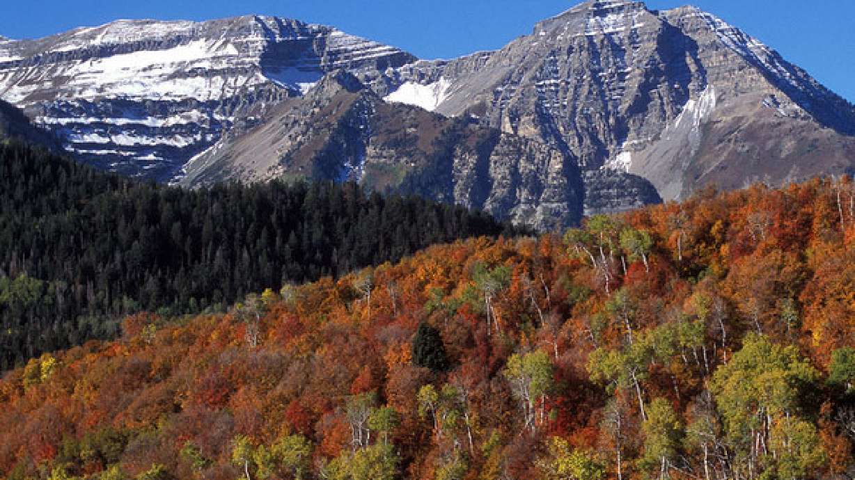 Average Temperatures