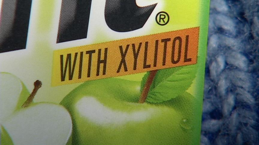 Sweetener Could Be Deadly to Dogs