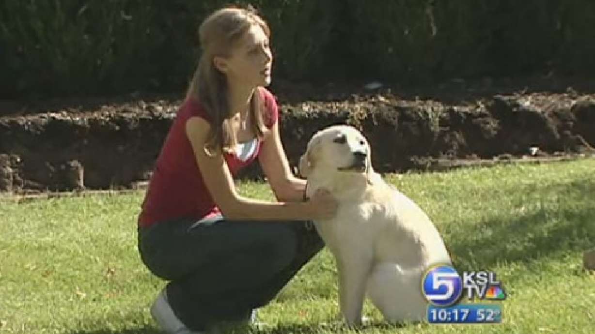 Teen Helps Train Guide Dogs