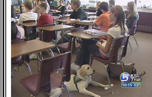 Teen Helps Train Guide Dogs