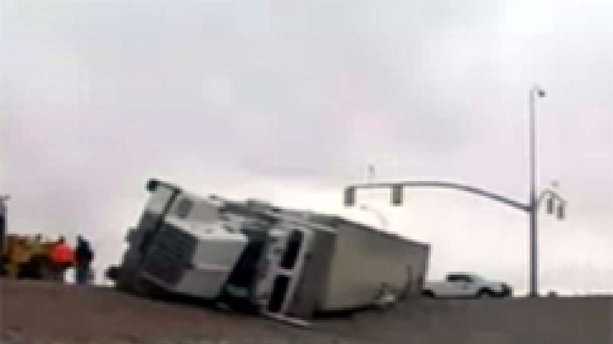 Truck Full of Pigs Tips Over
