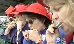 Hundreds of Harmonica Players Try for World Record