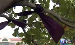 Sandy Police Focus on Domestic Violence