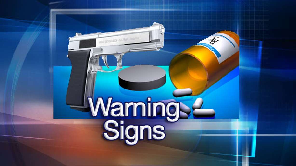 What can you do to help a mentally ill friend or family member?