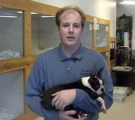 Pet store owners pleading for return of stolen puppies