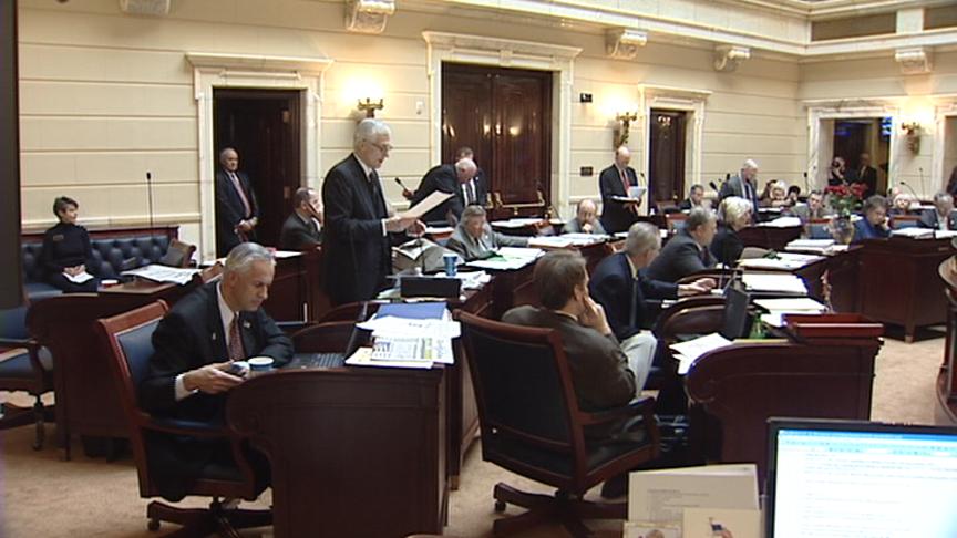Senate debates controversial immigration bill