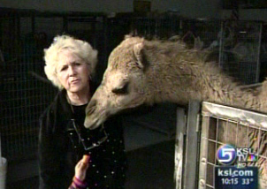 Wildlife preserve welcoming animals from Neverland Ranch