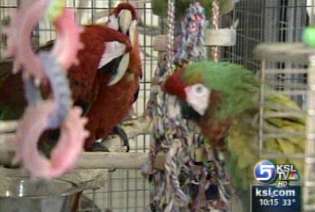 Wildlife preserve welcoming animals from Neverland Ranch