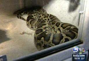 Wildlife preserve welcoming animals from Neverland Ranch