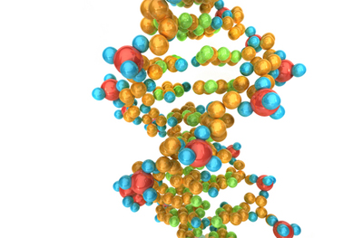 The Huntsman Cancer Institute study found that up to 67 percent of all melanomas result from the gene mutation CDKN2A, as well as some forms of pancreatic cancer.