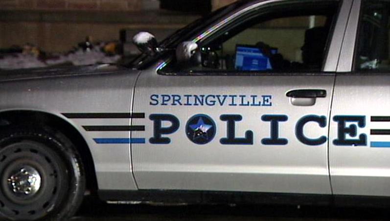 Police mum on investigation into Springville man's death