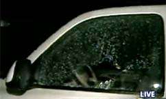 Neighborhood Shaken by Drive-by Shooting