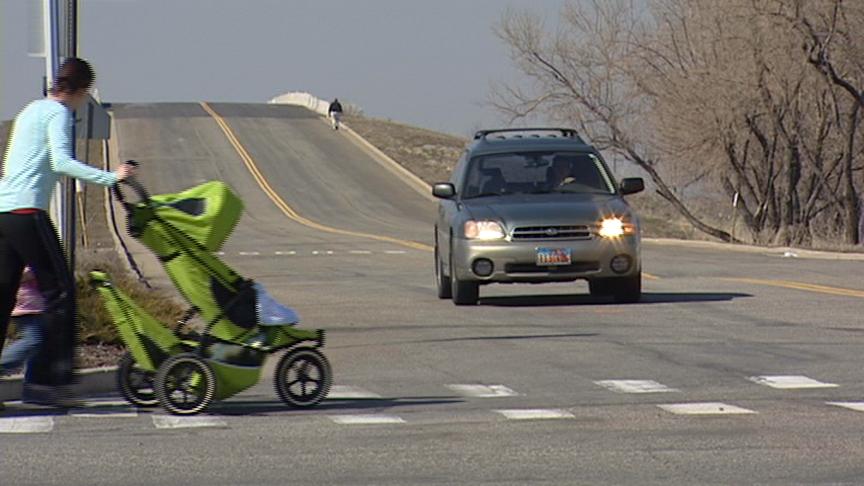 Police searching for hit-and-run driver