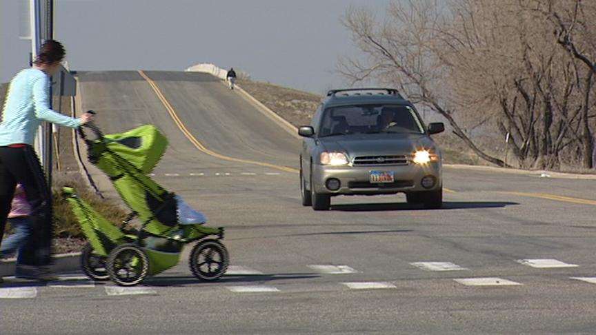 Police searching for hit-and-run driver