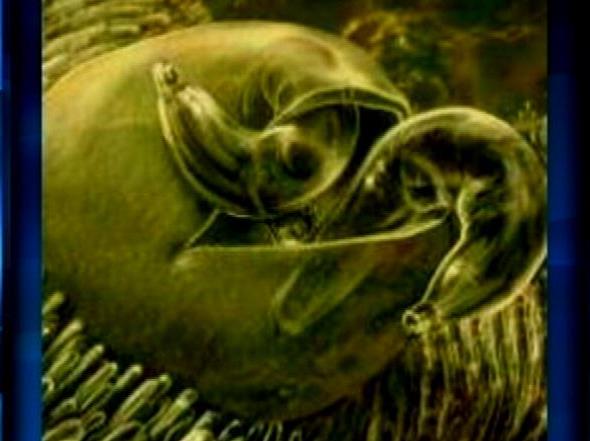 Health officials working to prevent cryptosporidium in pools